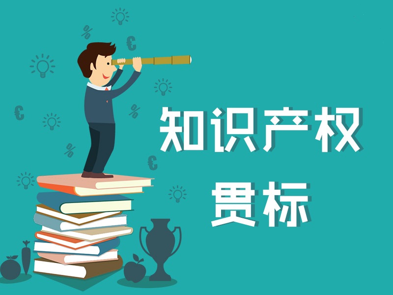 企业如何推动创新创造？知识产权贯标帮您忙！