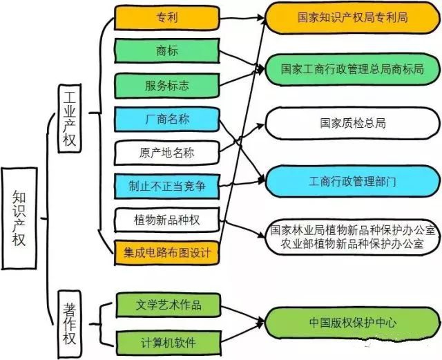 身处专利圈儿,这些知识是专利人的必修课