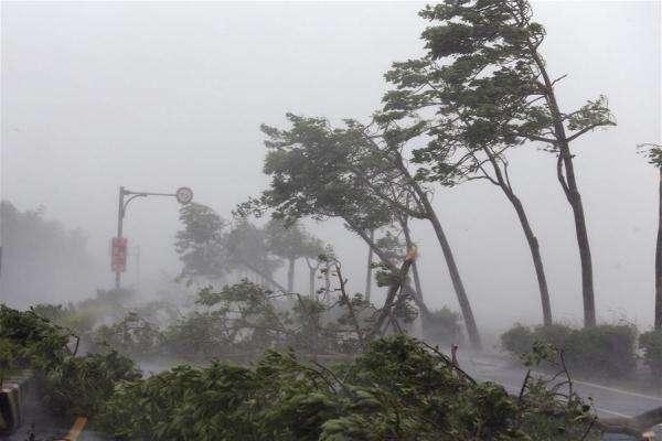 有没有一个发明,可以消除台风自然灾害?